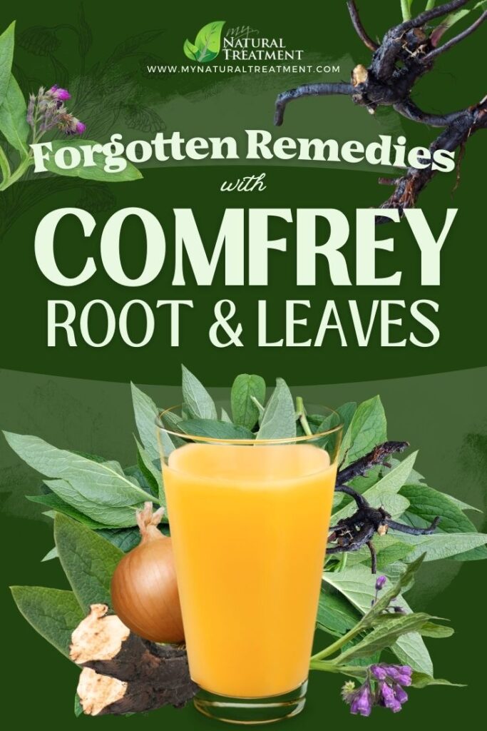Forgotten Medicinal Recipes with Comfrey and Their Uses - Comfrey Uses - Comfrey recipes  - MyNaturalTreatment.com