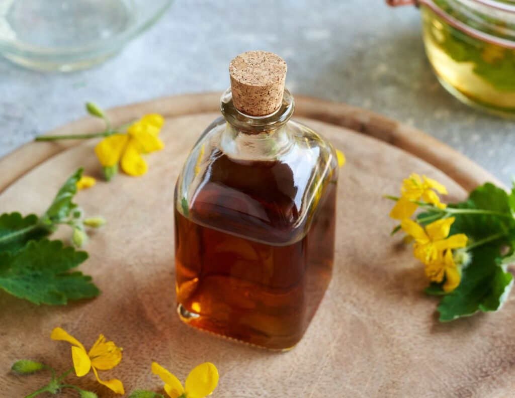 How to Harvest Celandine - How to Make Celandine Tincture and How to Use at Home - Celandine Tincture Recipe - Celandine Tincture Uses - MyNaturalTreatment.com