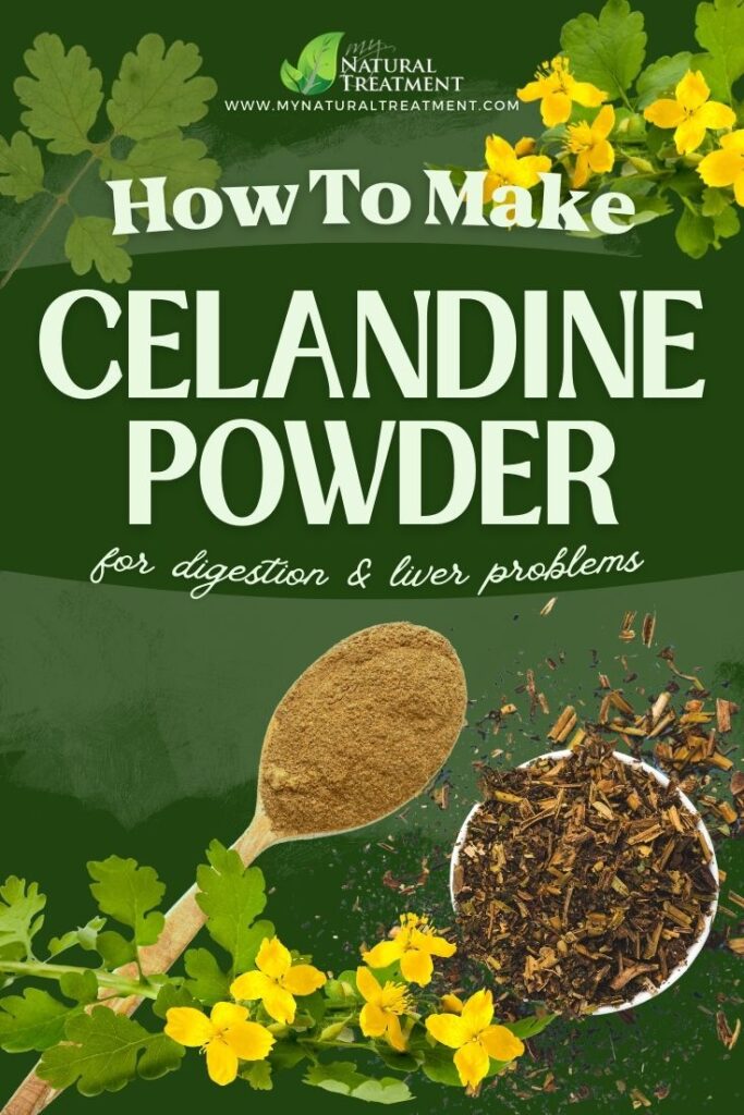 How to Harvest Celandine - How to Make Celandine Powder Uses - Celandine Powder Recipe - MyNaturalTreatment.com