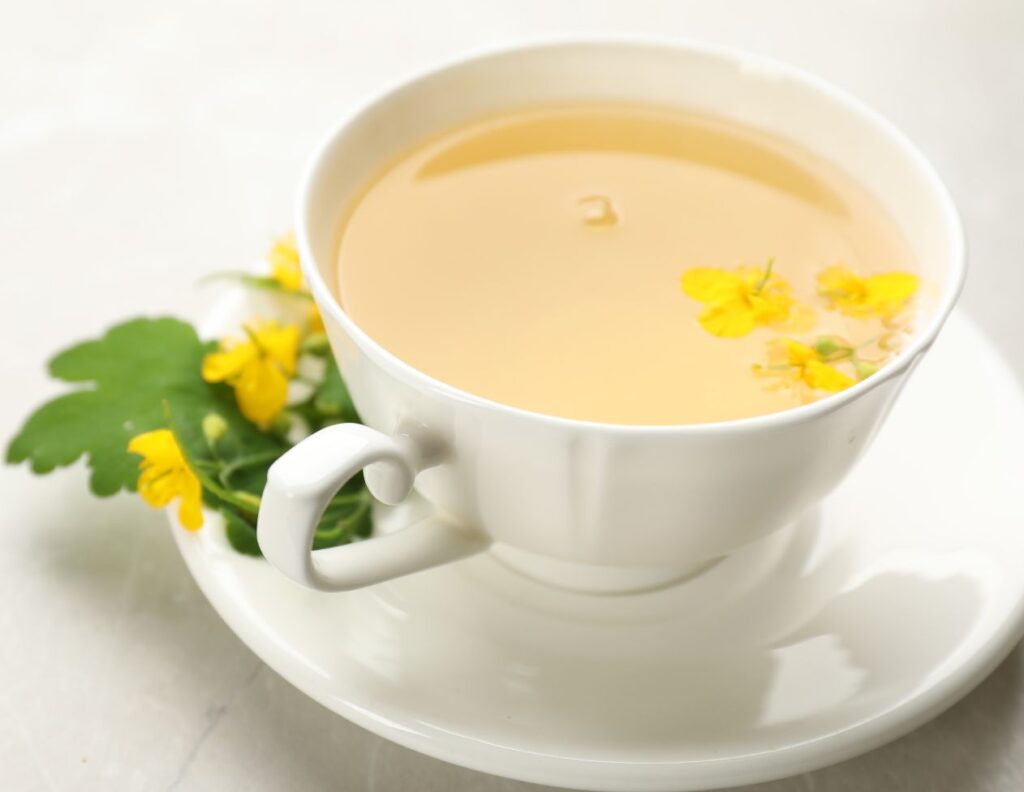 How to Make Celandine Tea Uses - Celandine Tea Recipe - MyNaturalTreatment.com