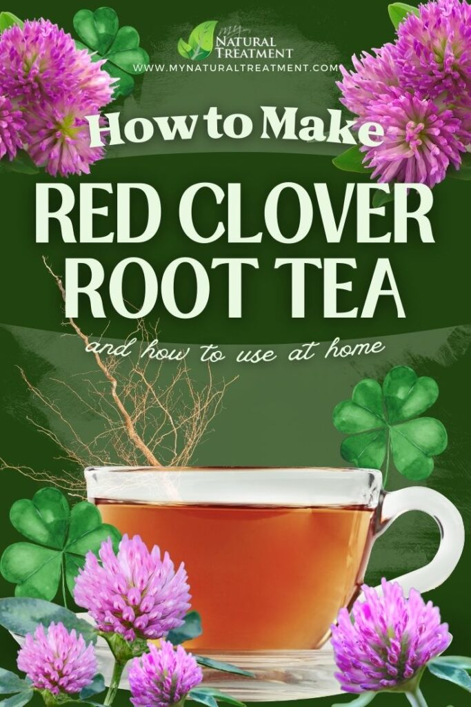 How to Make Red Clover Root Tea - Red Clover Root Tea Uses - MyNaturalTreatment.com - NaturalTreatment.com