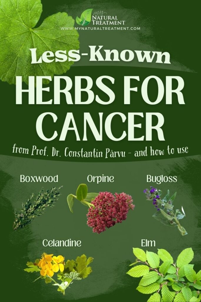 5 Less Known Herbs for Cancer and How to Use Them  - NaturalTreatment.com