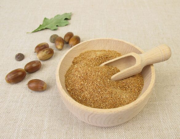 How to Make Acorn Powder - 3 Amazing Health Uses
