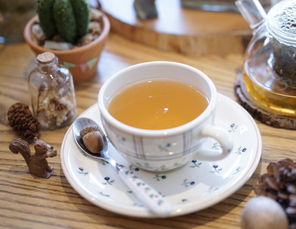 How to Make Acorn Tea and Its Uses MyNaturalTreatment.com