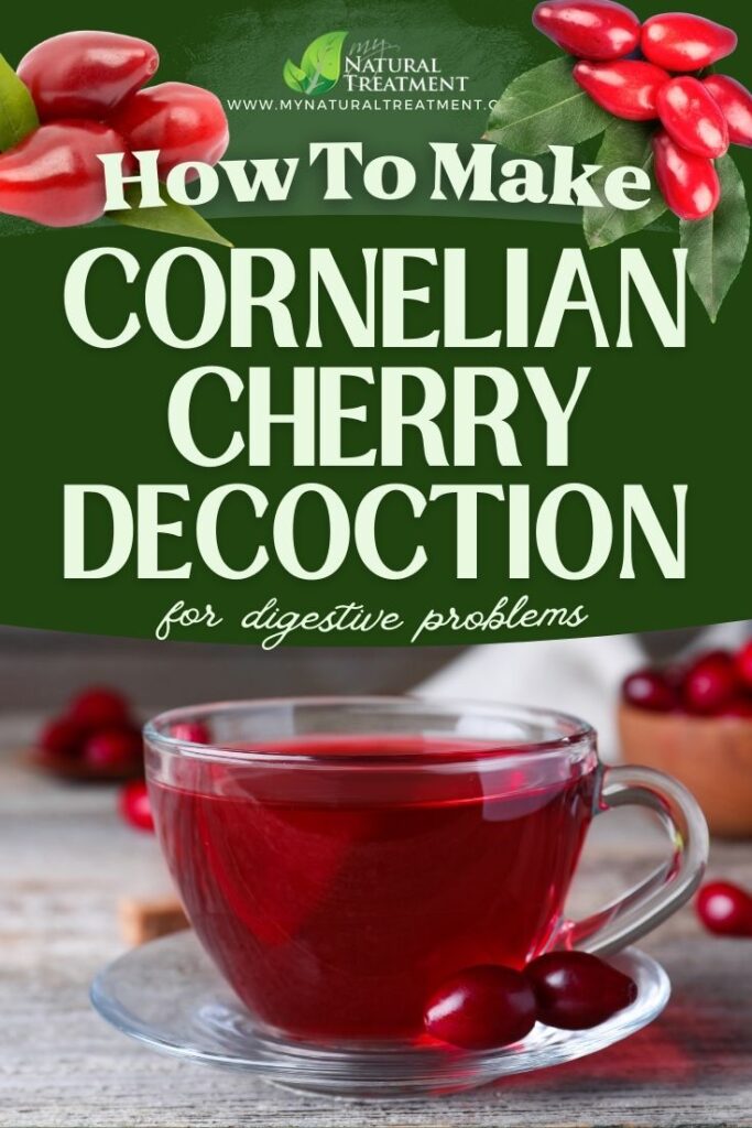 How to Make Cornelian Cherry Decoction Cornelian Cherry Decoction Recipe MyNaturalTreatment.com 1
