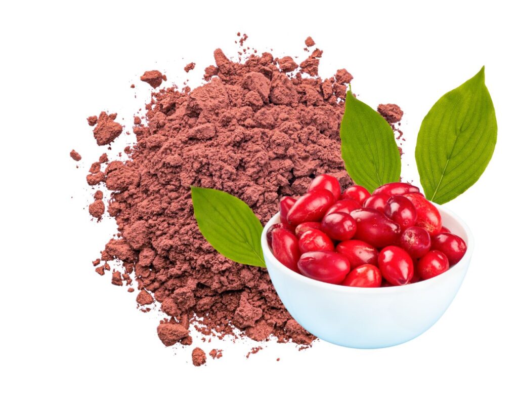 How to Make Cornelian Cherry Powder - Cornelian Cherry Powder Recipe - MyNaturalTreatment.com