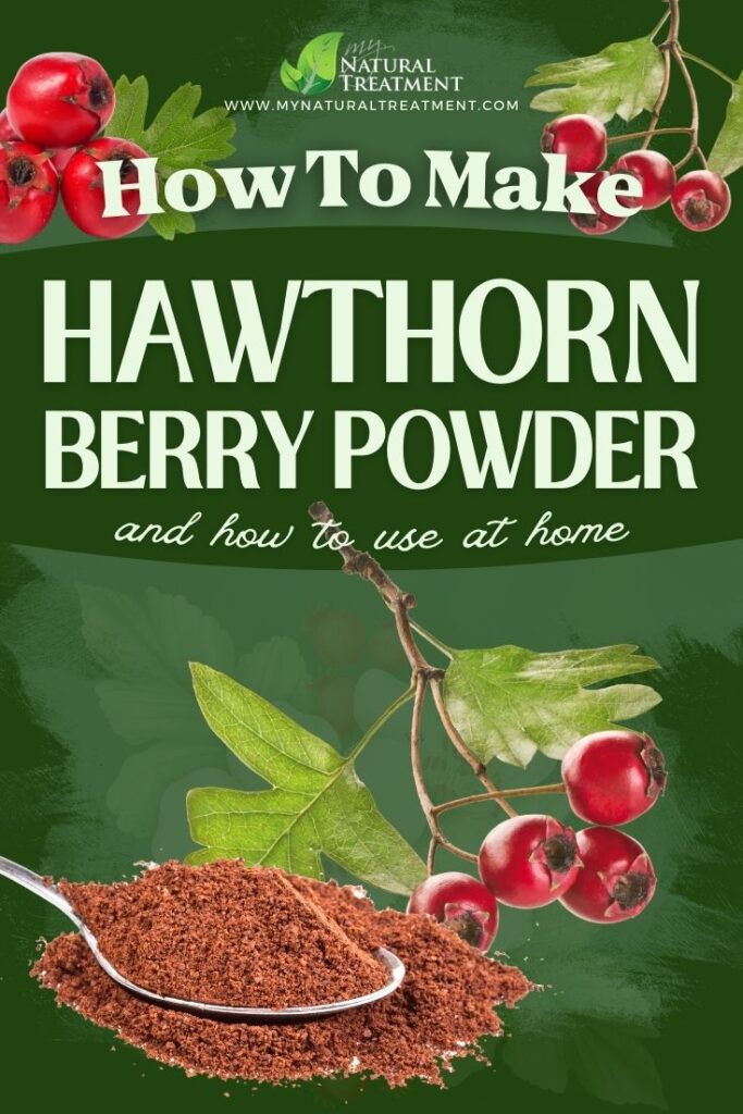 How to Make Hawthorn Berries Powder Hawthorn Berries Powder Recipe MyNaturalTreatment.com