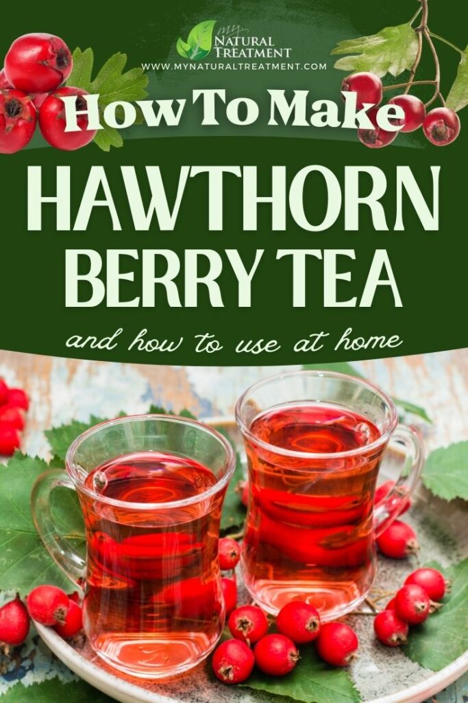 How to Make Hawthorn Berries Tea - Hawthorn Berries Tea Recipe - MyNaturalTreatment.com