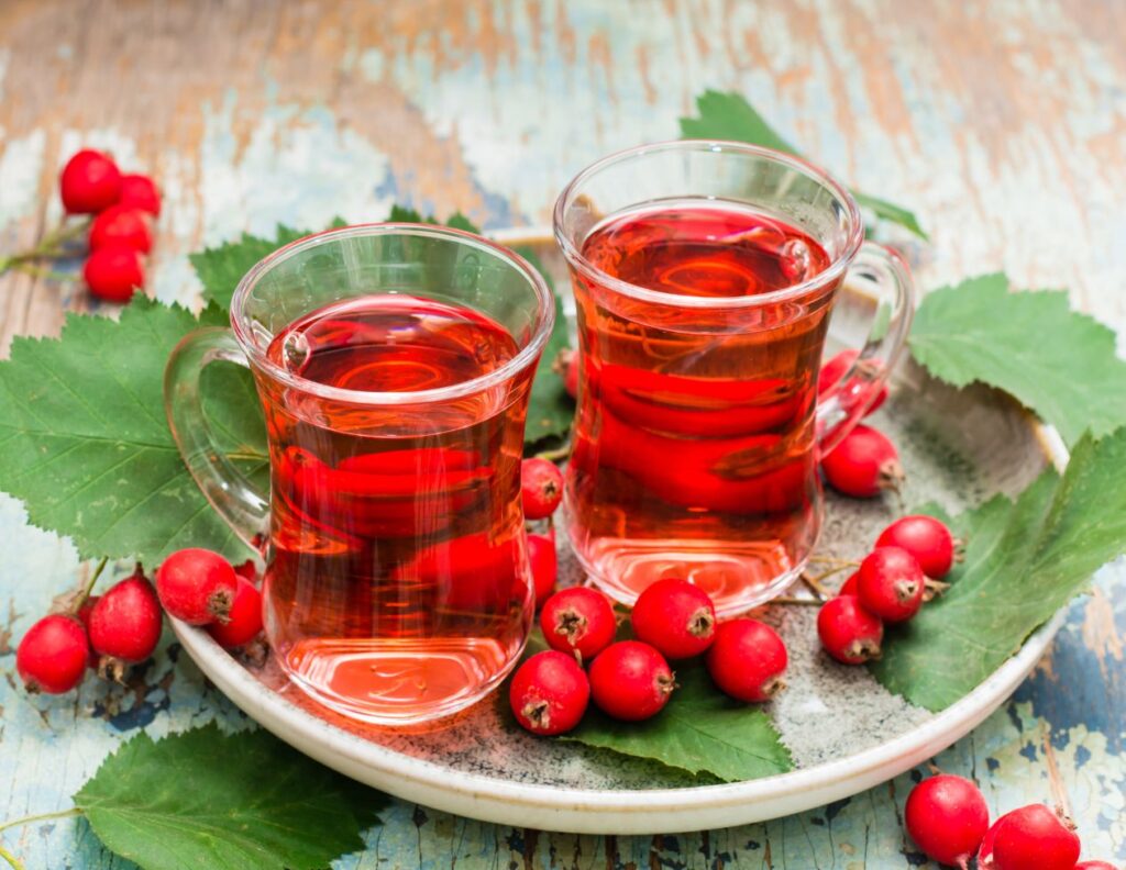 How to Make Hawthorn Berries Tea - Hawthorn Berry Tea - Hawthorn Tea Uses - MyNaturalTreatment.com