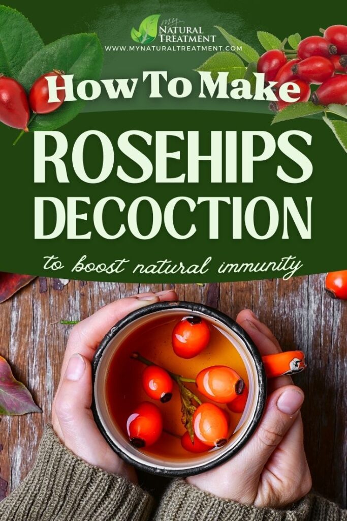 How to Make Rosehip Decoction - Rosehip Decoction Recipe - MyNaturalTreatment.com
