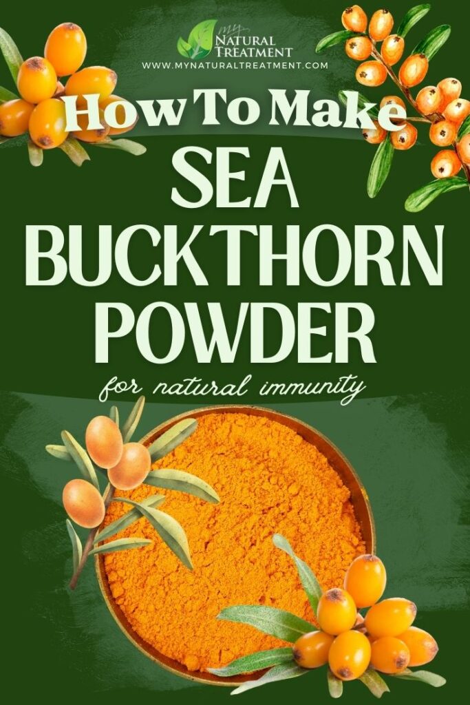 How to Make Sea Buckthorn Powder - Sea Buckthorn Powder Recipe - MyNaturalTreatment.com
