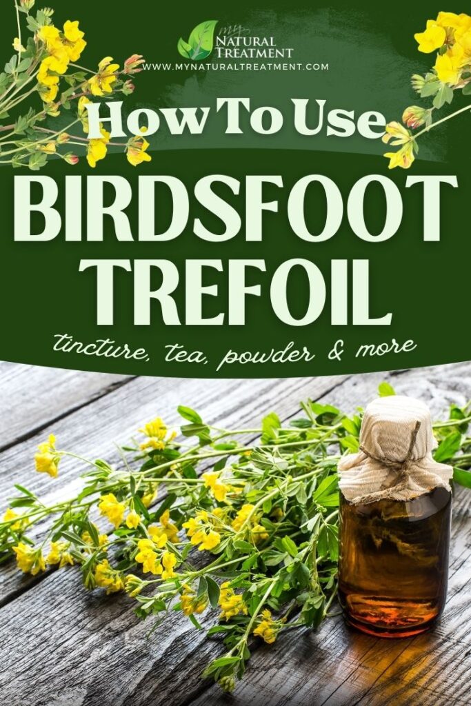 How to Use Birdsfoot Trefoil Uses - NaturalTreatment.com