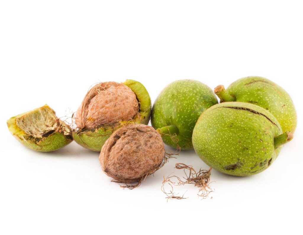 How to Use Green Walnut Peels for Health - MyNaturalTreatment.com
