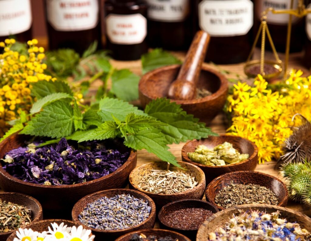 Less Known Herbs for Cancer and How to Use Them - MyNaturalTreatment.com