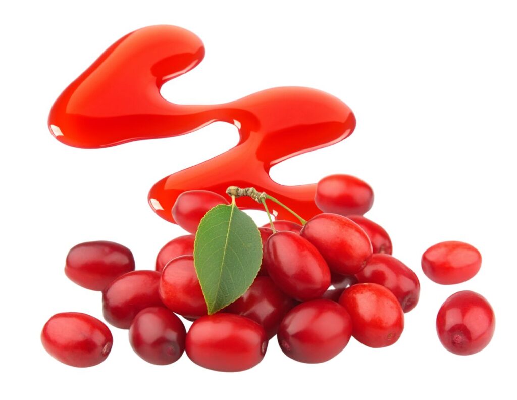 How to Make Cornelian Cherry Syrup for Immunity - Cornelian Cherry Syrup Recipe - MyNaturalTreatment.com