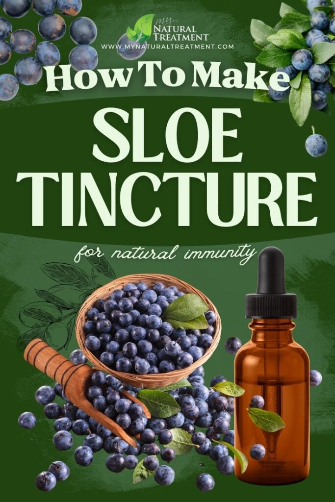 How to Make Sloe Tincture for Immunity - Sloe Tincture Recipe - MyNaturalTreatment.com
