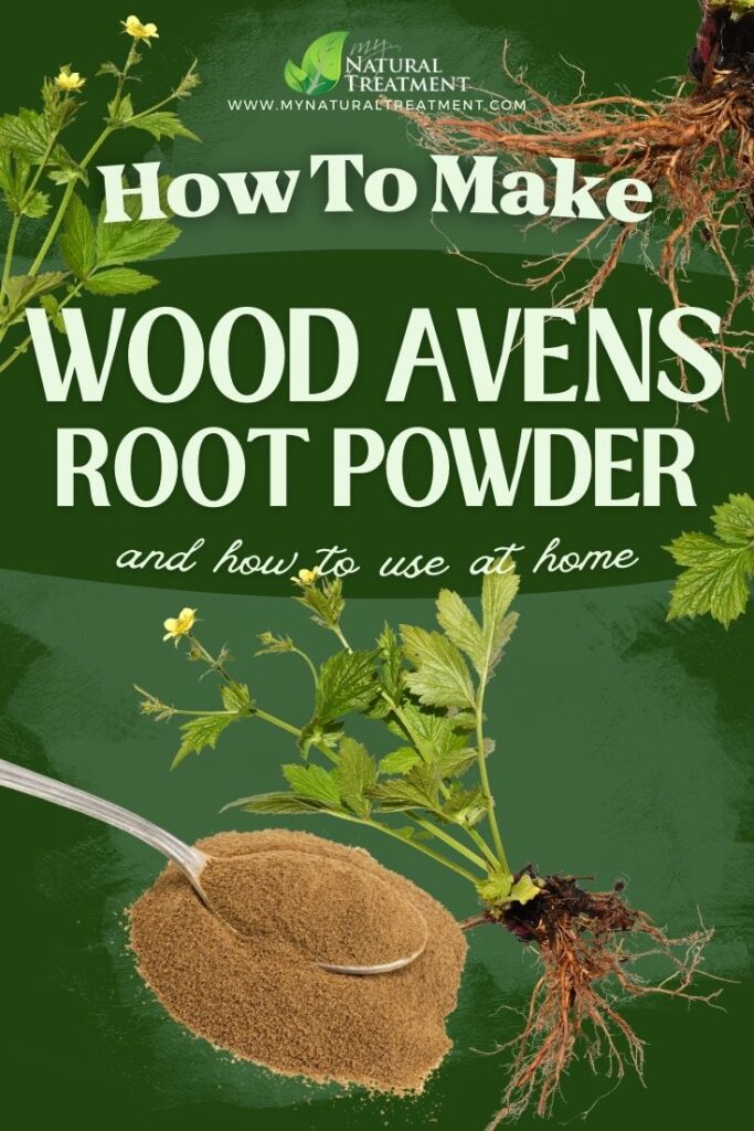 How to Make Wood Avens Root Powder and Use at Home - MyNaturalTreatment.com