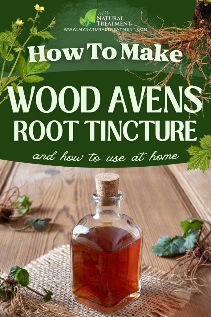 How to Make Wood Avens Root Tincture for Toothache