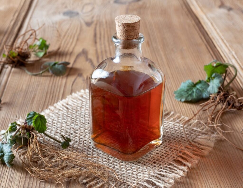 How to Make Wood Avens Root Tincture for Toothache - MyNaturalTreatment.com