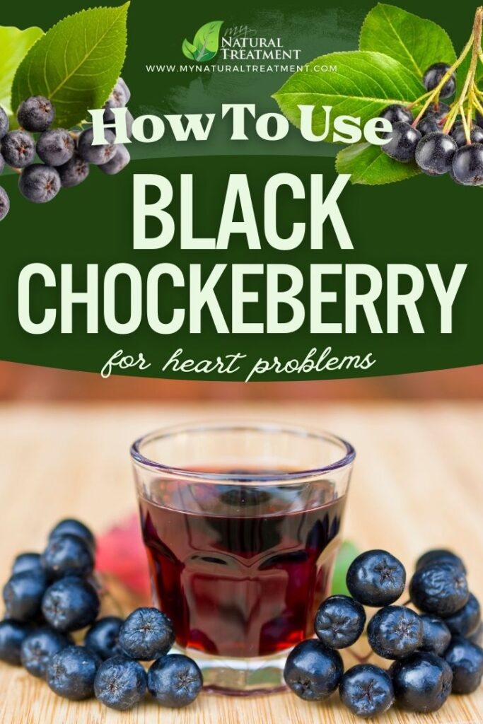How to Use Black Chokeberry for Heart Problems - Chokeberry Uses - NaturalTreatment.com
