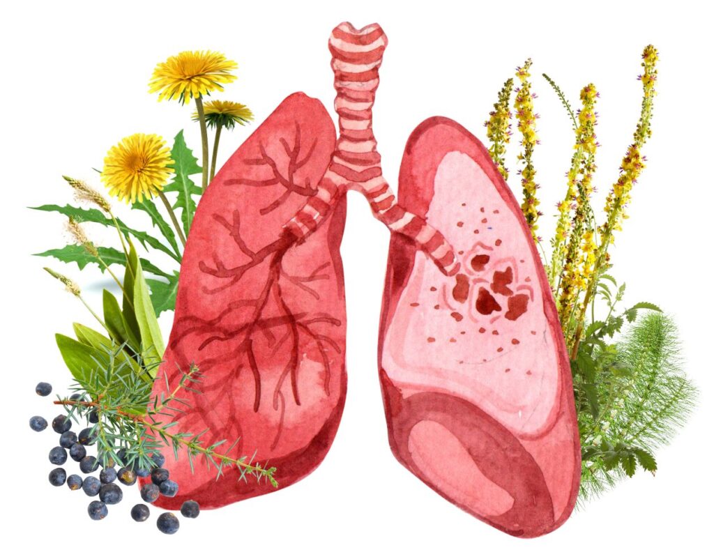 Powerful Natural Remedies for Emphysema - Emphysema Remedy - Emphysema Remedies - MyNaturalTreatment.com