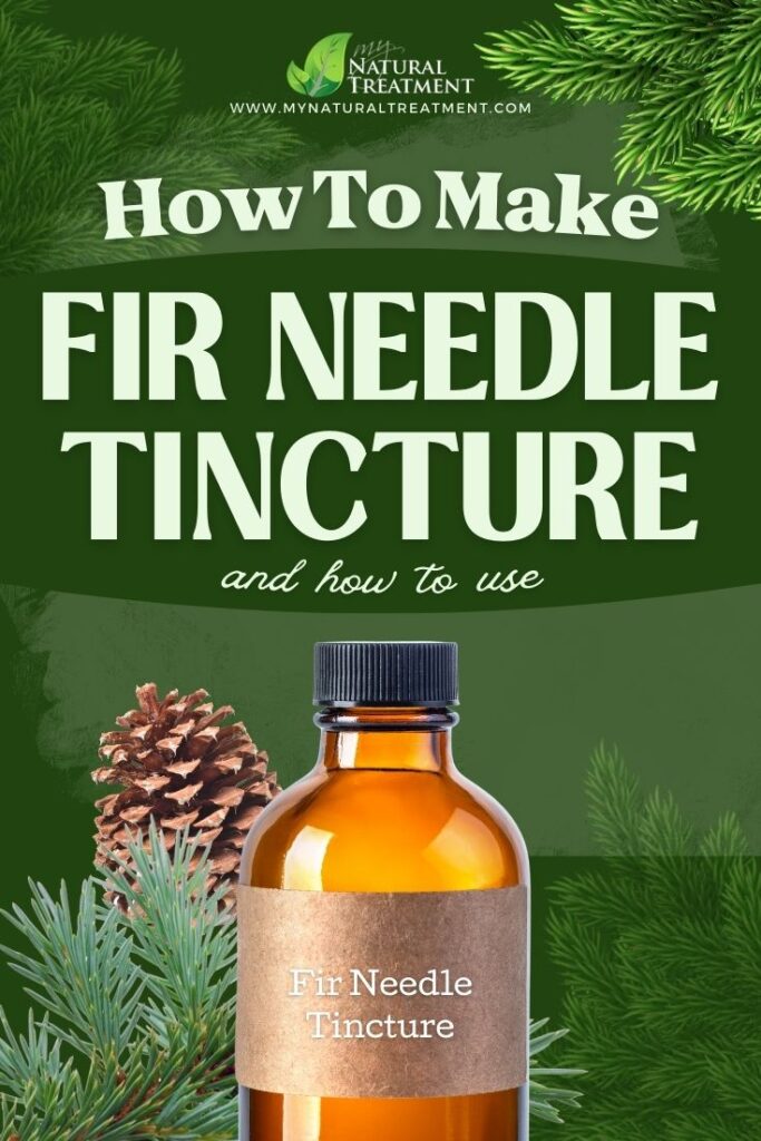 How to Make Fir Needle Tincture and Use 4 Fir Needle Tincture Recipe - Fir Needle Tincture Uses - MyNaturalTreatment.com