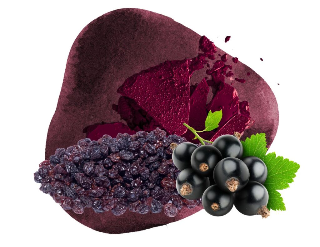 How to Make Blackcurrant Powder and Use at Home 3 How to Make Blackcurrant Powder Uses - Blackcurrant Powder Benefits - MyNaturalTreatment.com