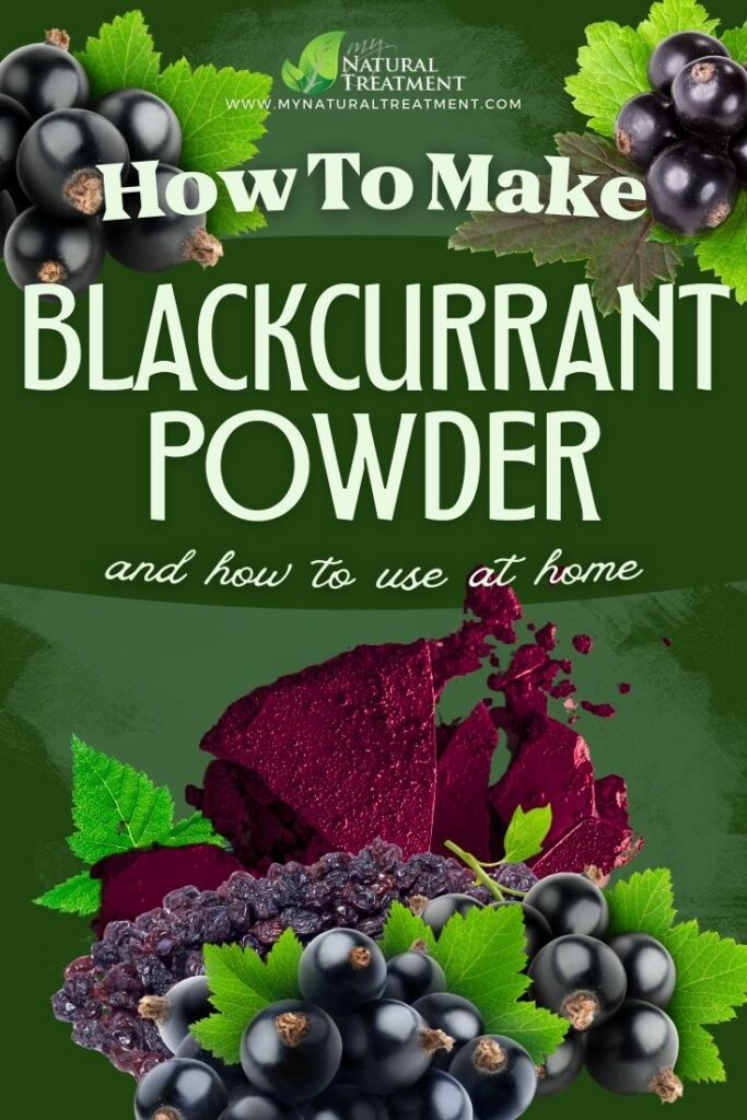 How to Make Blackcurrant Powder and Use at Home 5 How to Make Blackcurrant Powder and Use at Home Blackcurrant Powder Uses MyNaturalTreatment.com