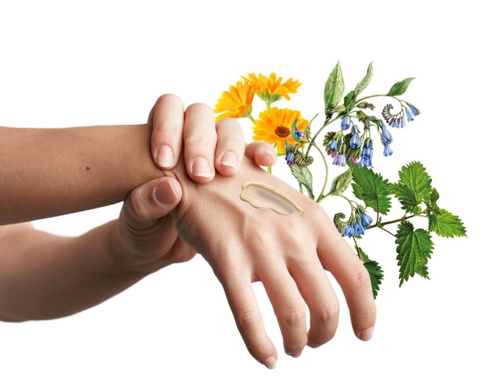 How to Make Herbal Salve for Rheumatic Pain - MyNaturalTreatment.com