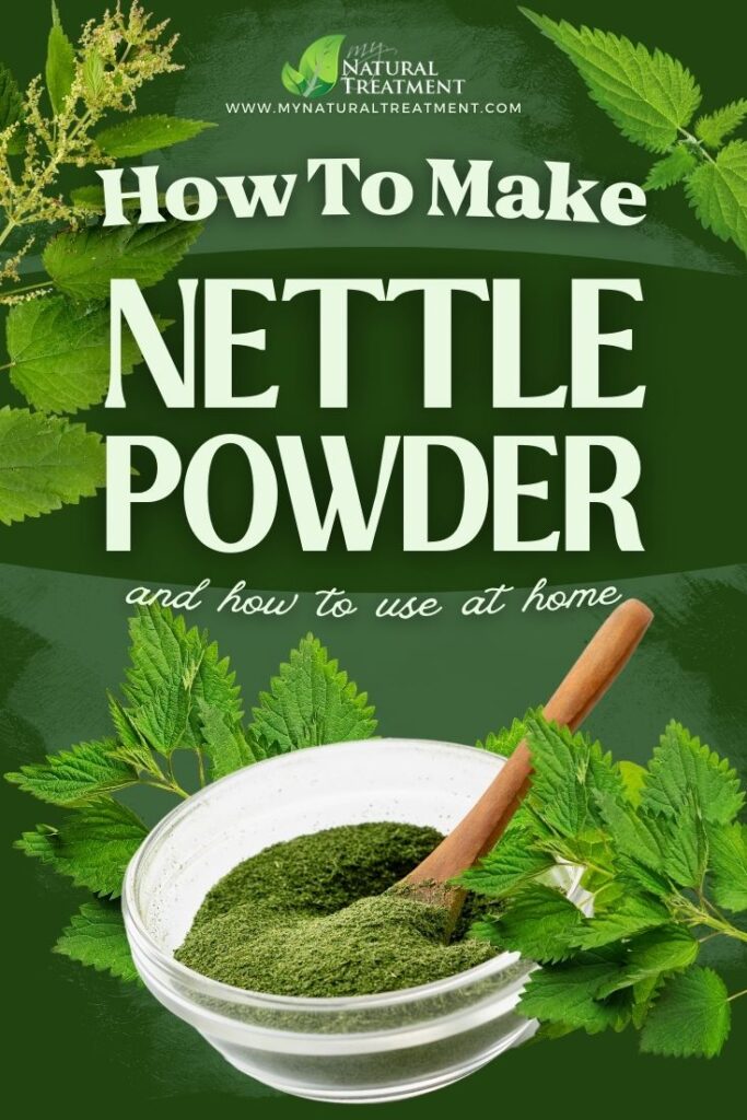 How to Make Nettle Powder Uses - Nettle Powder Recipe - MyNaturalTreatment.com