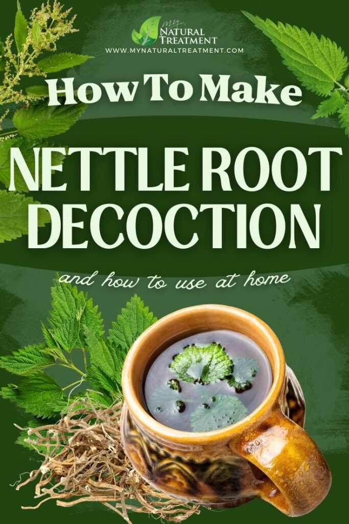 How to Make Nettle Root Decoction Uses - Nettle Decoction Recipe - MyNaturalTreatment.com