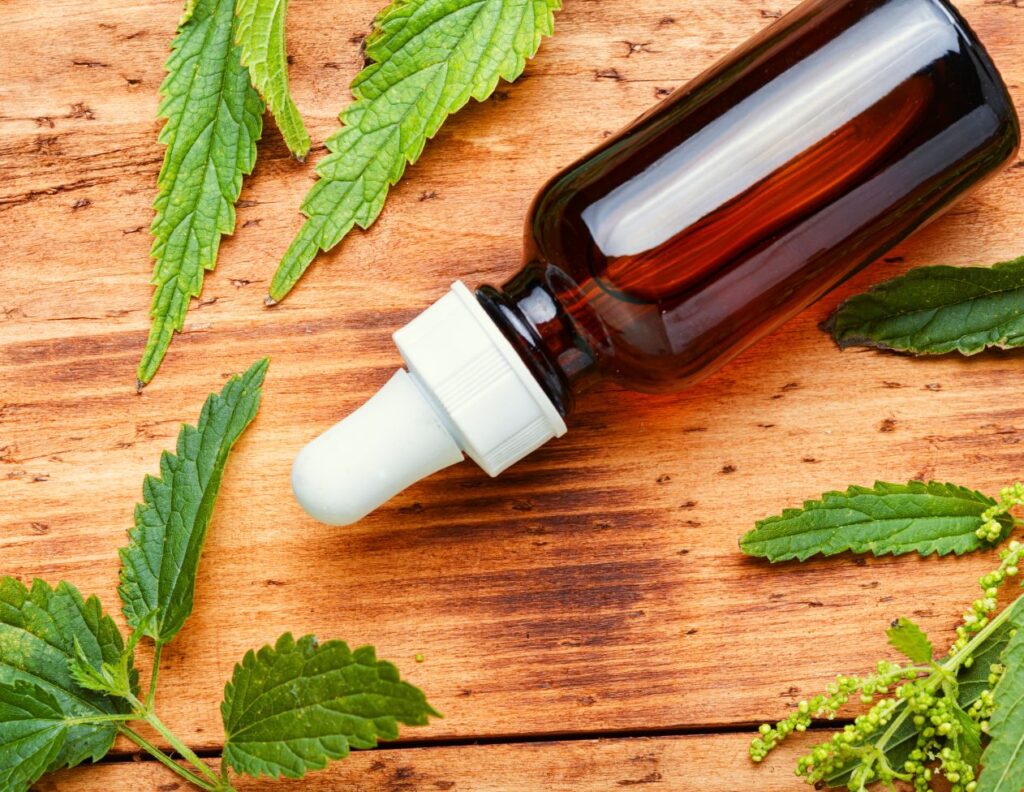How to Make Nettle Tincture Uses - MyNaturalTreatment.com