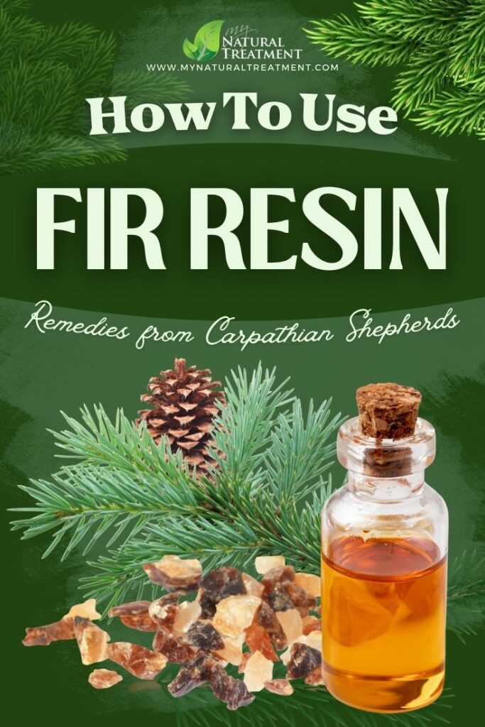 How to Use Fir Resin as Medicine - Fir Resin Uses - MyNaturalTreatment.com