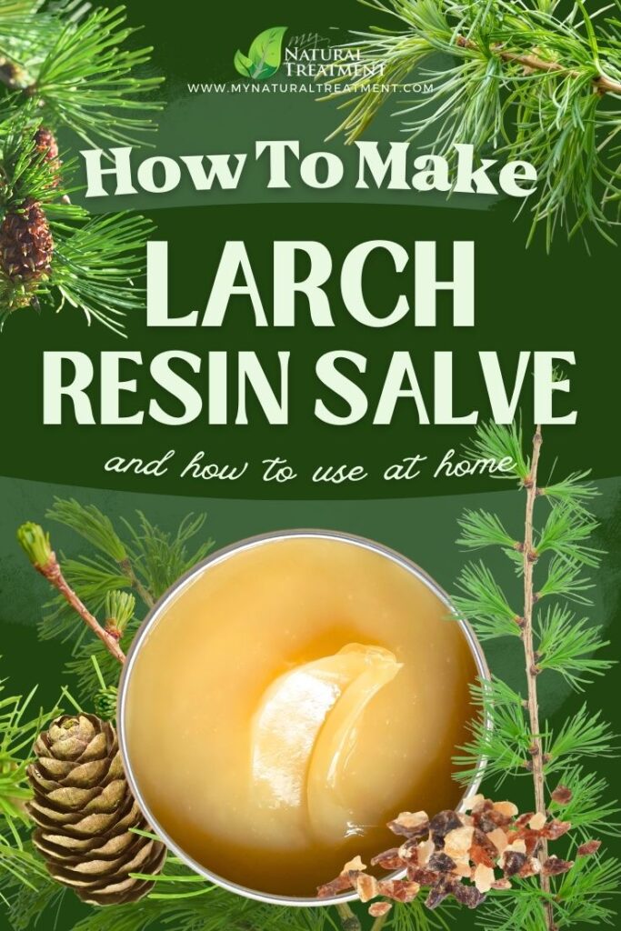 Larch Resin Salve Recipe and How to Use 4 Larch Resin Salve Recipe and How to Use - MyNaturalTreatment.com - MyNaturalTreatment.com