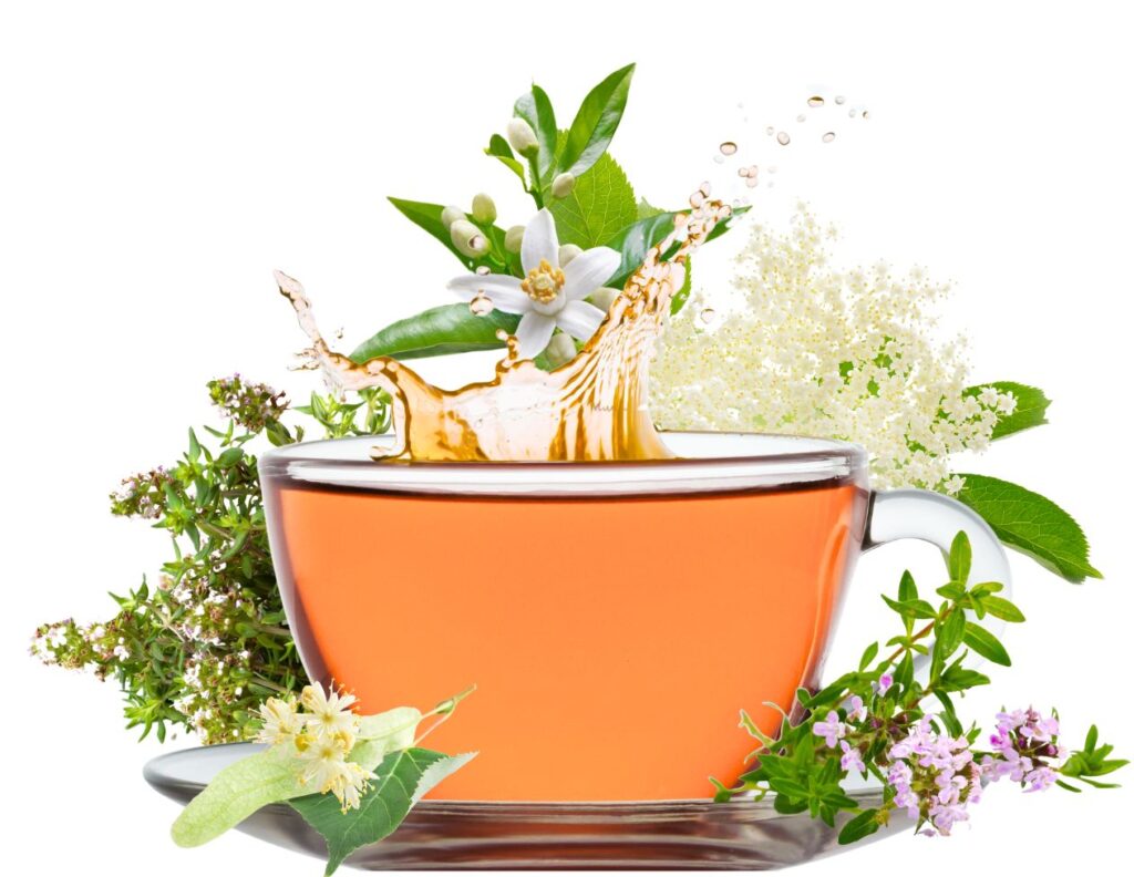 Powerful Herbal Tea for Viral Infections - powerful antiviral tea - antiviral tea - MyNaturalTreatment.com