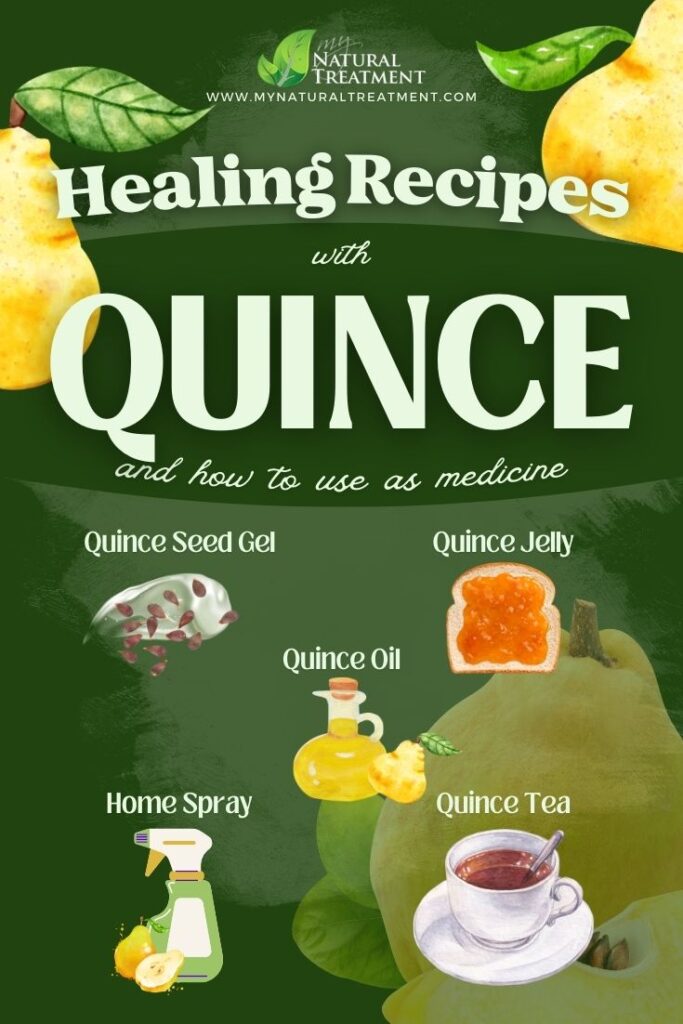 5 Healing Recipes with Quince You Didn't Know 8 5 Healing Recipes with Quince You Didn't Know