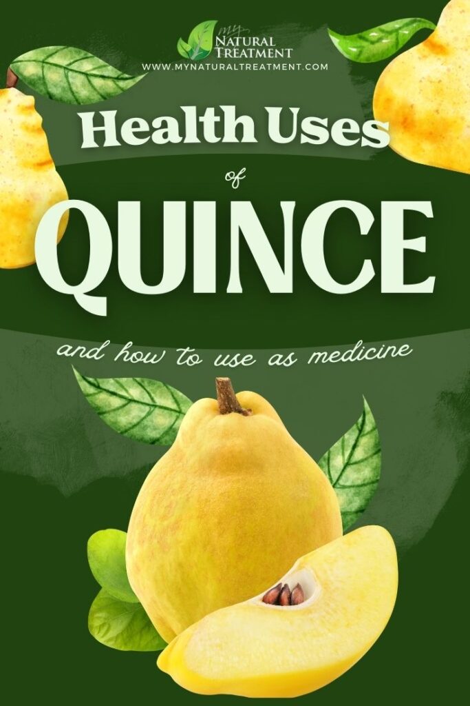 7 Unexpected Health Uses of Quince 5 7 Unexpected Health Uses of Quince - Quince Health Uses - MyNaturalTreatment.com - MyNaturalTreatment.com
