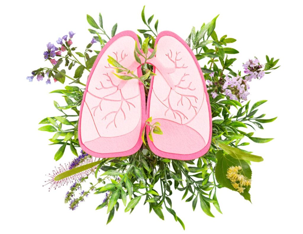 9 Natural Remedies for White Lung Syndrome 3 9 Powerful Natural Remedies for White Lung Syndrome Remedy - MyNaturalTreatment.com