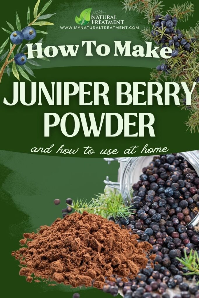 How to Make Juniper Berry Powder and Use 5 How to Make Juniper Berry Powder & Use - Juniper Berry PowderUses - MyNaturalTreatment.com