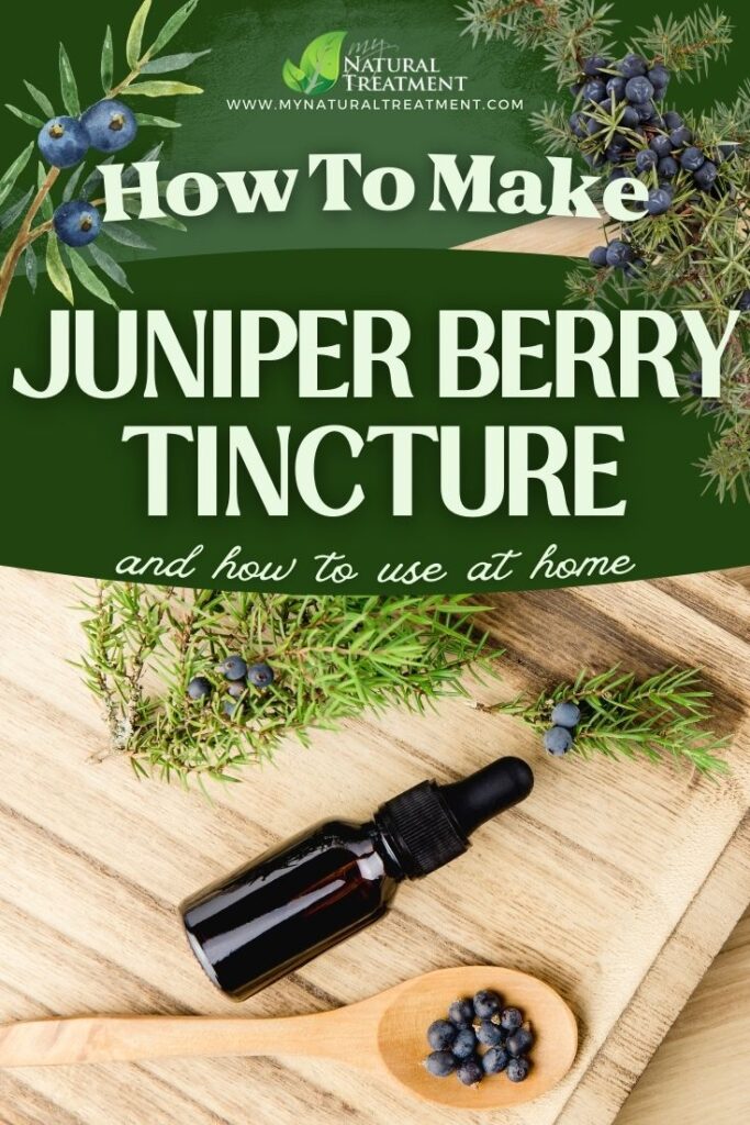 How to Make Juniper Berry Tincture & Use 5 How to Make Juniper Berry Tincture Use Juniper Berry Tincture Uses MyNaturalTreatment.com 1