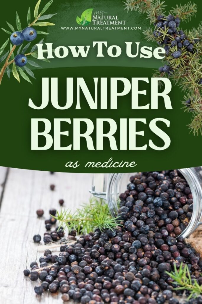 How to Use Juniper Berries as Medicine 5 How to Use Juniper Berries as Medicine - Juniper Berries Uses - MyNaturalTreatment.com