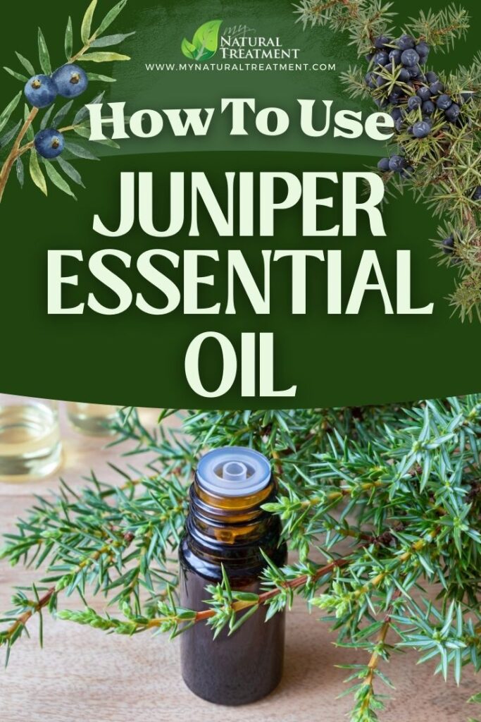 How to Use Juniper Essential Oil as Medicine 5 How to Use Juniper Essential Oil Uses - MyNaturalTreatment.com