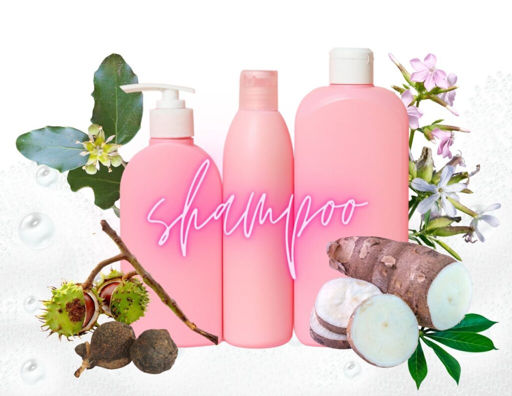5 Best Herbs for Shampoo - Herbs High in Saponins 3 5 Best Herbs for Shampoo - Herbs High in Saponins - MyNaturalTreatment.com