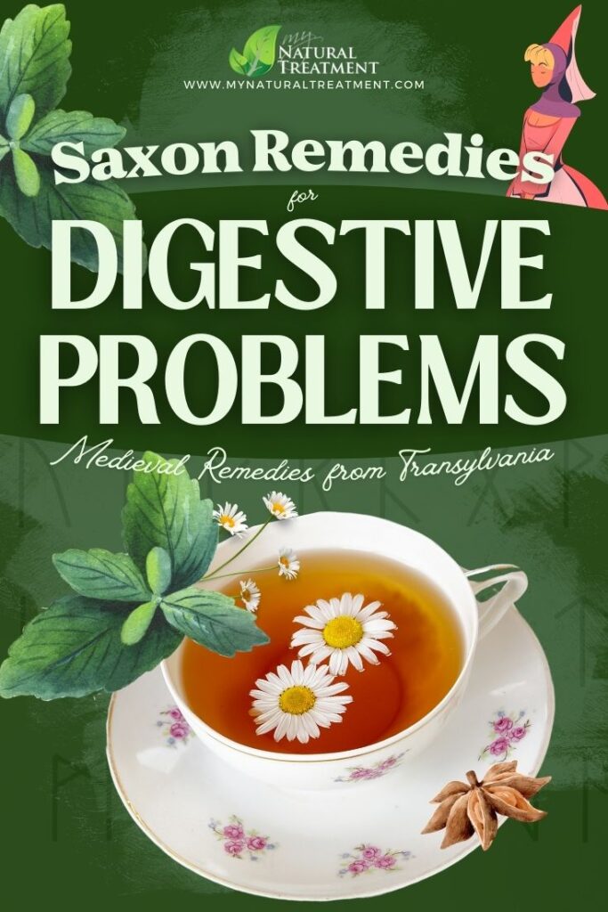 5 Medieval Transylvanian Saxon Remedies for Digestive Problems 7 5 Medieval Transylvanian Saxon Remedies for Digestive Problems - MyNaturalTreatment.com