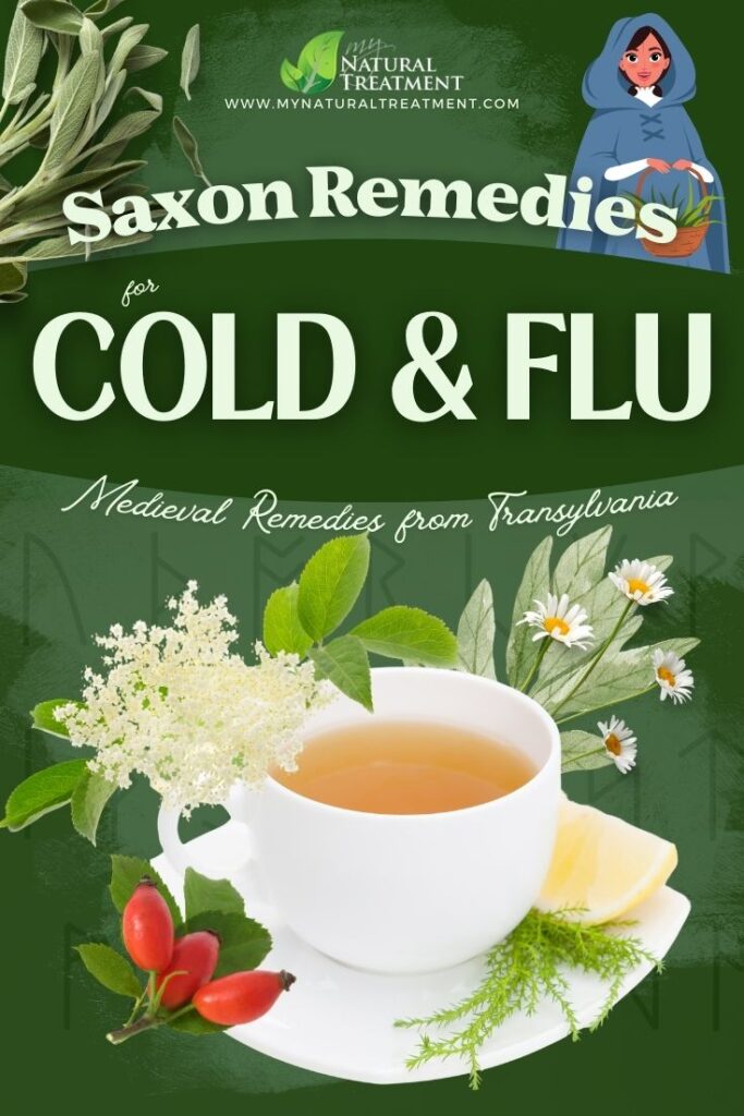 7 Medieval Transylvanian Saxon Remedies for Cold & Flu Symptoms 7 7 Medieval Transylvanian Saxon Remedies for Cold & Flu Symptoms - MyNaturalTreatment.com