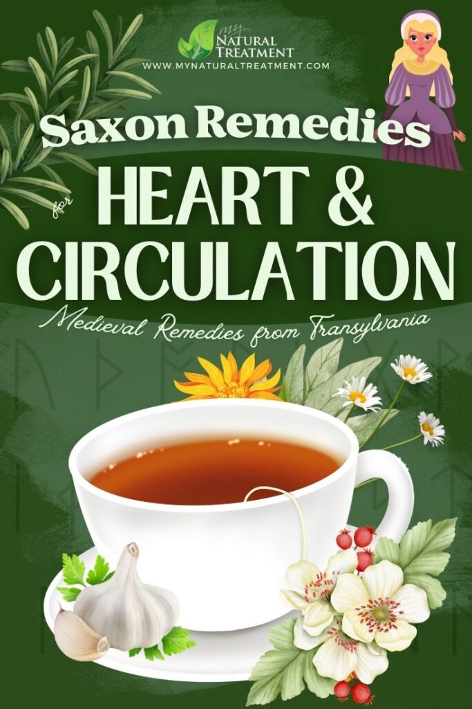 6 Medieval Transylvanian Saxon Remedies for Heart and Circulatory Problems 5 7 Medieval Transylvanian Saxon Remedies for Heart and Circulation- MyNaturalTreatment.com