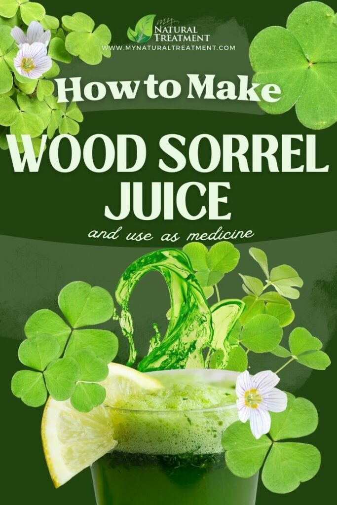 How to Make Wood Sorrel Juice and Use at Home 5 Health Uses of Wood Sorrel Juice & How to Make Wood Sorrel Juice Uses - MyNaturalTreatment.com