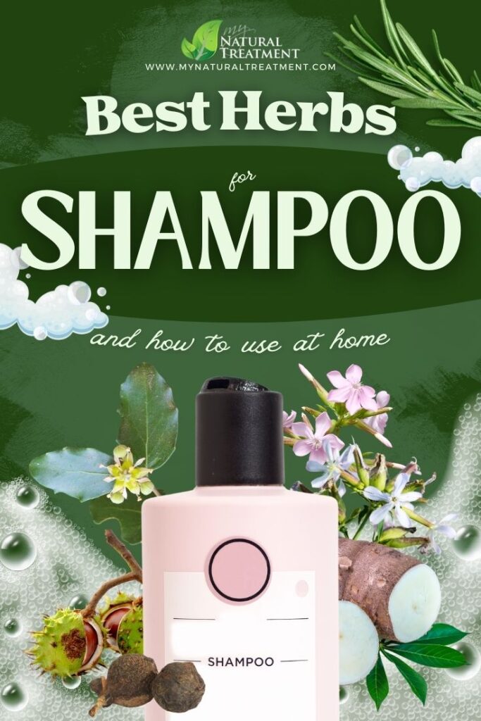 5 Best Herbs for Shampoo - Herbs High in Saponins 8 Best Herbs for Shampoo - Herbs High in Saponins - MyNaturalTreatment.com