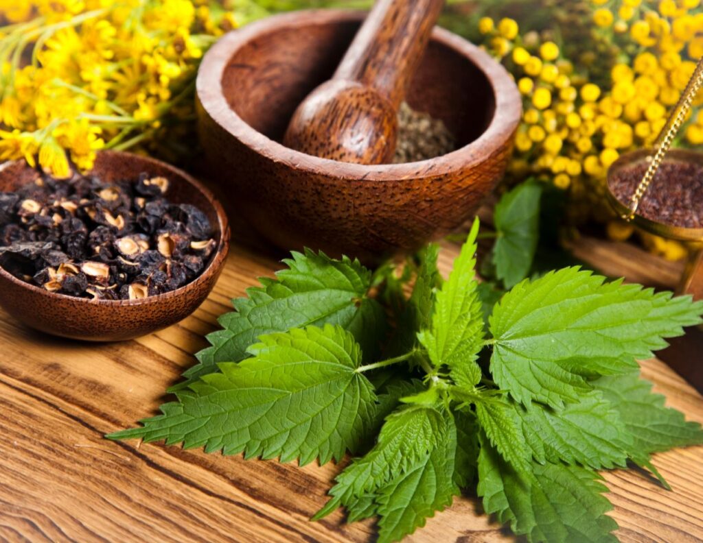 5 Medieval Transylvanian Saxon Remedies for Digestive Problems 3 Medieval Transylvanian Saxon Remedies for Digestive Problems - MyNaturalTreatment.com