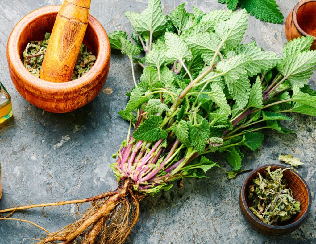 6 Medieval Transylvanian Saxon Remedies for Skin Problems 5 Medieval Transylvanian Saxon Remedies for Skin Problems - MyNaturalTreatment.com